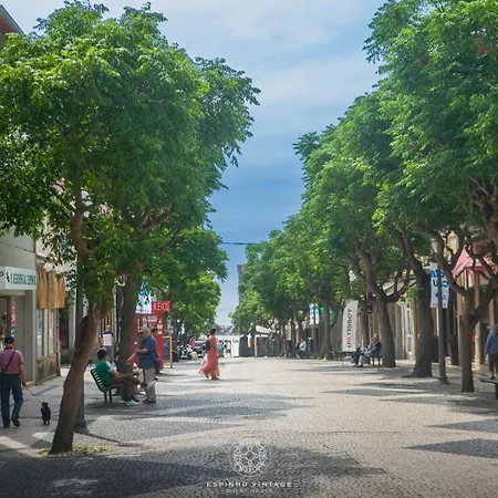 Mainstreet, Vintagegroup Apartment Espinho (Aveiro)